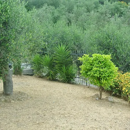 Vincenza